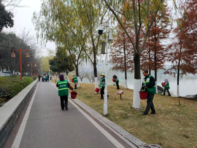 通城县园林绿化服务中心：冬日施肥正当时 绿植蓄能迎新春