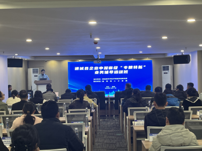 通城县举办企业申报“专精特新”业务培训班