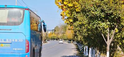 通城县沙堆镇：交通织网绘振兴  大道通衢暖民心