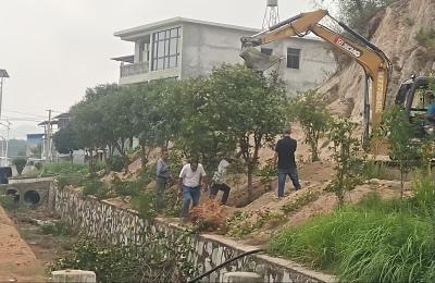 通城县五里镇五里村：清淤“清”出清爽路 绿化“绿”出美乡村