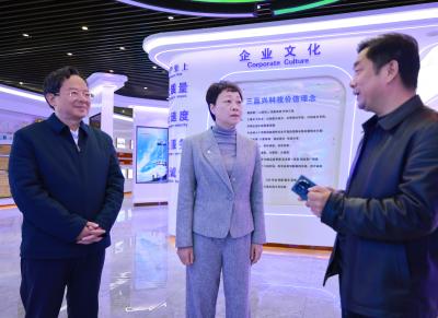 张远梅到通城县调研时要求 强龙头 补链条 聚集群  