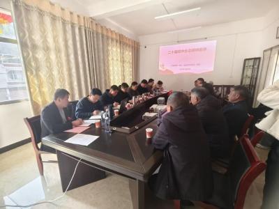 通城县麦市镇红石村：凝聚共识谋发展 实干担当启新程