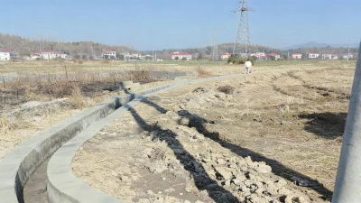 通城县四庄乡新联村：水圳通田间 稻农告别抽水愁