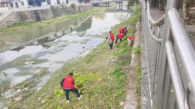 通城县秀水社区三方联动焕新颜 夜市点亮团圆路
