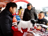 图集 | 湖北通城：赶集寻年味 人间烟火浓