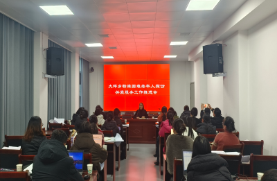 通城县大坪乡召开专题推进会 筑实特殊困难老年人关爱保护网