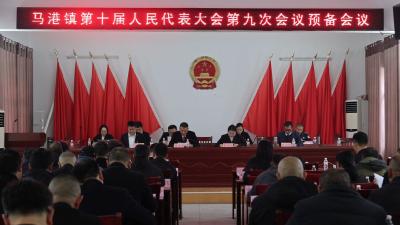 通城县马港镇召开第十届人民代表大会第九次会议
