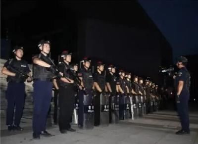 回眸2025 | 通城公安用忠诚担当书写平安答卷