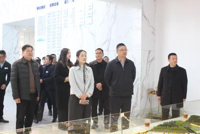 市县联动 共谋发展|咸宁高投集团来通城县考察交流