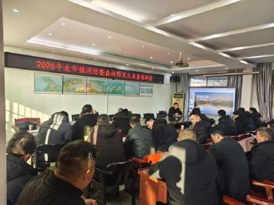 通城县麦市镇：以训赋能强本领 防患未“燃”守平安