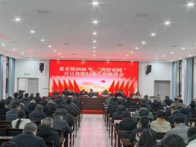 【清洁家园在行动】通城县麦市镇召开“清洁家园”百日攻坚推进会