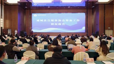 通城县自媒体协会成立大会暨第一届会员大会召开