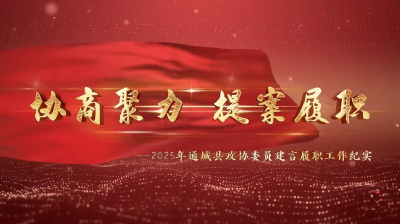 【聚焦两会】V视 | 协商聚力 政协履职—2025年通城县政协委员建言履职工作纪实