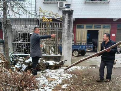 通城县麦市镇七里村：风雪中开路 晴日里“清根”