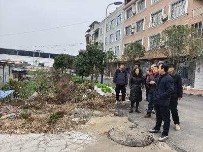 通城县隽水镇：一线督导促整改 扎实推进“清洁家园行动”