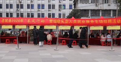通城县举办“春风行动”招聘会 助力城镇失业人员家门口就业