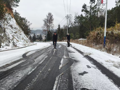 通城县北港镇桂家村：风雪突袭 党员驰援护平安