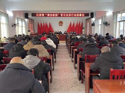 通城县马港镇：“清洁家园”干群齐动手 铸就乡村振兴新篇章