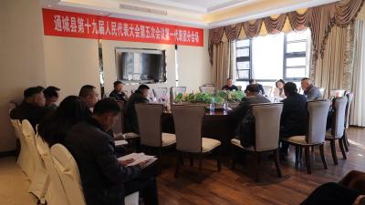 【聚焦两会】通城县第十九届人民代表大会第五次会议各代表团会议召开