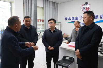 通城县领导调研禁鞭和安全生产工作