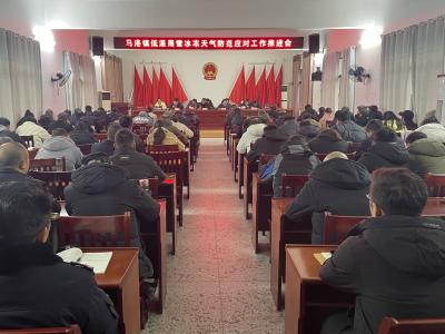 通城县马港镇：冰点守护暖民心 以战时状态迎战强寒潮