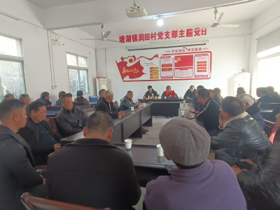 通城县塘湖镇润田村：党建引领聚合力  攻坚实干促振兴
