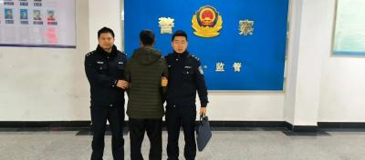 凌晨两起电动车被盗！通城公安多警种联动火速侦破