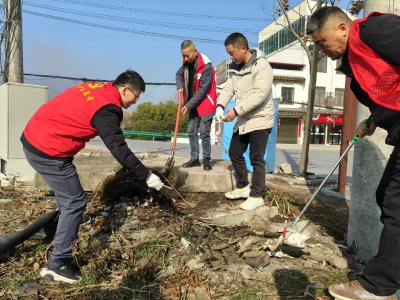 【清洁家园在行动】通城县大坪乡：党建引领齐攻坚 党员干部扮靓家园暖民心