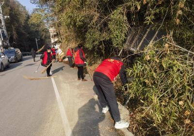 【清洁家园在行动】通城县大坪乡开展第三次“清洁家园”行动