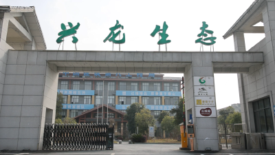 【寻味中国年·豆香】从乡愁味道到富民产业：麦市豆干的“链”式新生