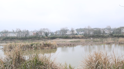 “电网”触“法网”，2人被抓！通城县查处一起非法捕捞案