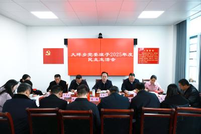 黄建平指导大坪乡党委班子2025年度民主生活会