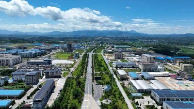 喜报！通城经开投集团获评服务工业经济发展“先进集体”