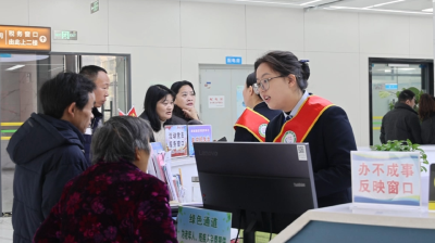 通城县政务服务中心：节后开工干劲足 高效服务“全在线”