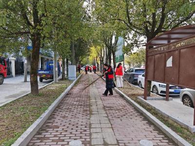 【清洁家园在行动】通城县马港镇：新春焕颜迎佳节 干群同心护路容