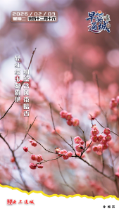 【海报】早安·隽秀通城