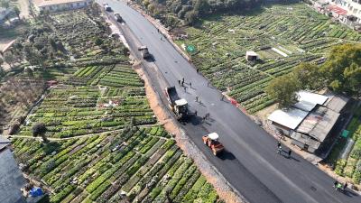 通城内环南路冲刺“刷黑” 确保春节路畅迎归乡