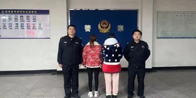 拳头硬？法律更硬！通城两人因殴打他人被依法行政拘留