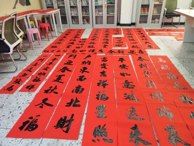 通城县马港镇：翰墨飘香暖民心 人大代表送福来