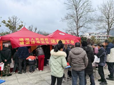 通城县塘湖镇：送春联下乡  为马年添彩