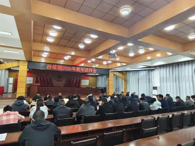 通城县沙堆镇：凝心聚力启新程 分工明确谋新篇