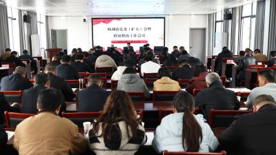 通城县塘湖镇召开党委（扩大）会议 统筹部署群腐整治、安全生产及森林防灭火工作