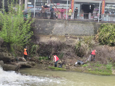 【清洁家园在行动】通城县大坪乡：开展“清洁家园”专项行动 干群合力绘就和美乡村新画卷