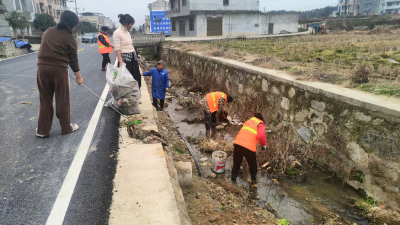 【清洁家园在行动】通城县大坪乡召开第七次“清洁家园”行动