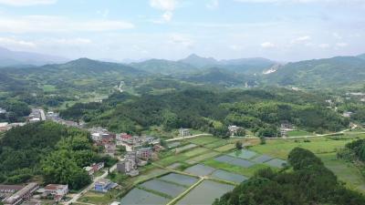 【2026年，我们这么干①】通城县马港镇党委副书记、镇长葛神燕：坚决扛起“事争一流、争先创优”使命责任  为县域高质量跨越式发展贡献马港力量