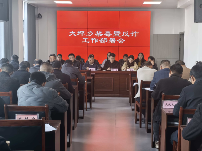 通城县大坪乡：抓实禁毒反诈硬举措 筑牢基层平安防护墙