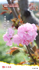 【海报】早安·隽秀通城