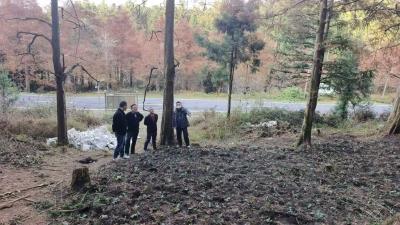 点绿成金促发展|通城经开投集团深耕林下经济 激活绿色产业新动能