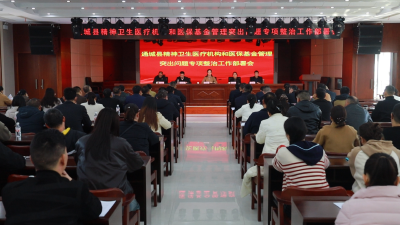 通城县召开精神卫生医疗机构和医保基金管理突出问题专项整治工作部署会