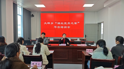 通城县大坪乡开展“湖北党员之家”业务培训 赋能基层党建提质增效